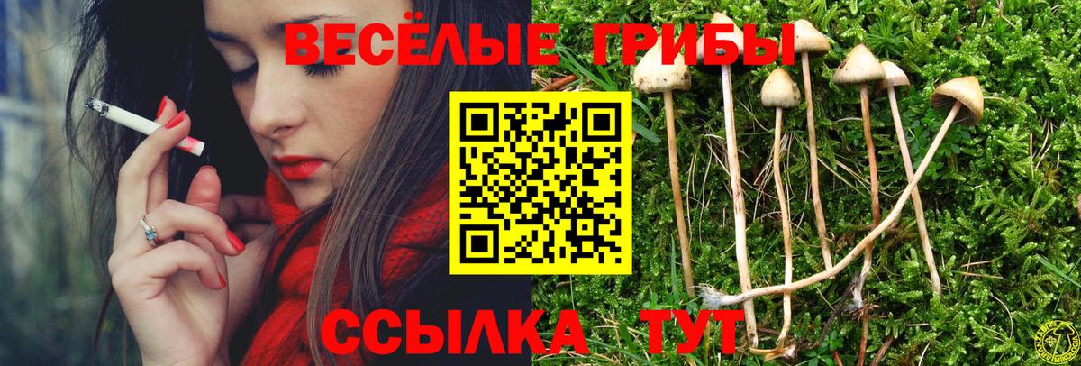Новоуральск  Галлюциногенные грибы Cubensis  Вход с VPN  Галлюциногенные грибы GOLDEN TEACHER 